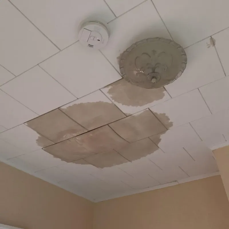 Ceiling Water Damage Repair in Glidden, IA
