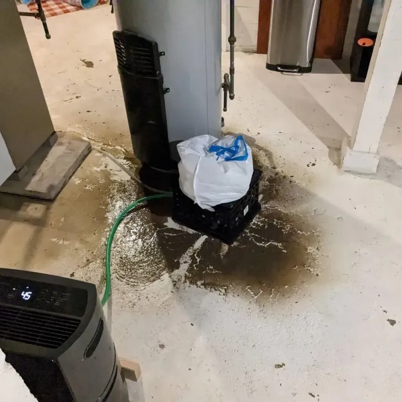 Sewage Backup Cleanup Service in Glidden, IA